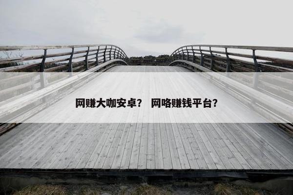 网赚大咖安卓？ 网咯赚钱平台？