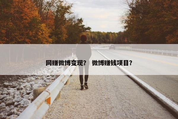 网赚微博变现？ 微博赚钱项目？