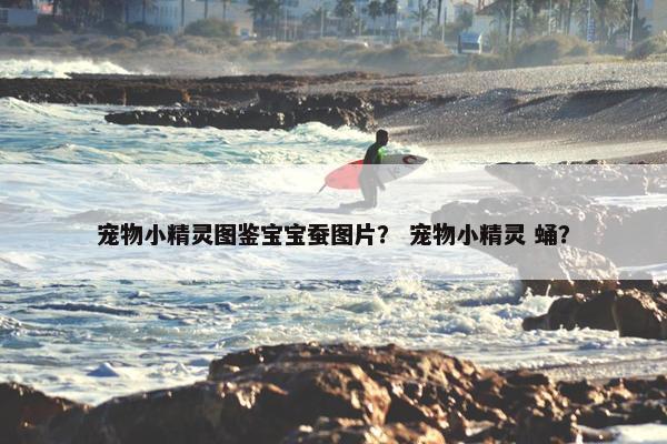 宠物小精灵图鉴宝宝蚕图片？ 宠物小精灵 蛹？