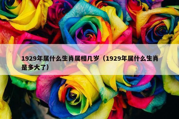 1929年属什么生肖属相几岁（1929年属什么生肖是多大了）