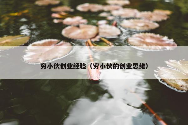 穷小伙创业经验（穷小伙的创业思维）
