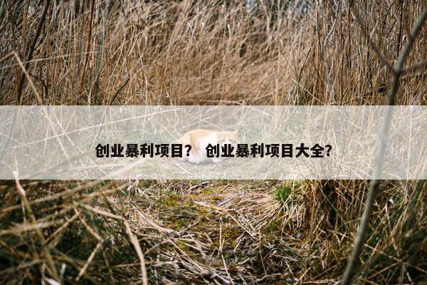 创业暴利项目？ 创业暴利项目大全？