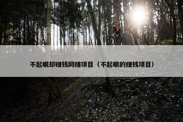 不起眼却赚钱网赚项目（不起眼的赚钱项目）