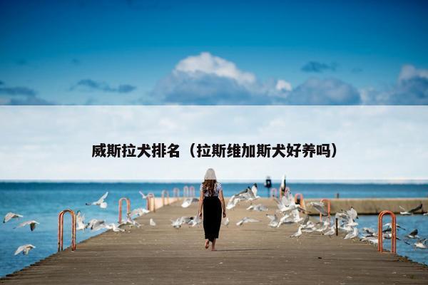 威斯拉犬排名（拉斯维加斯犬好养吗）