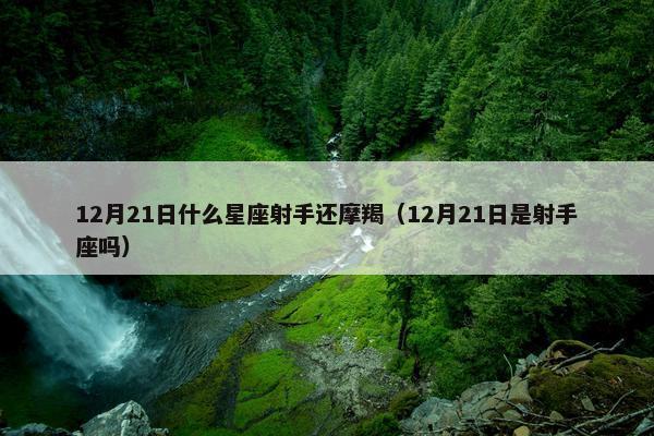 12月21日什么星座射手还摩羯（12月21日是射手座吗）
