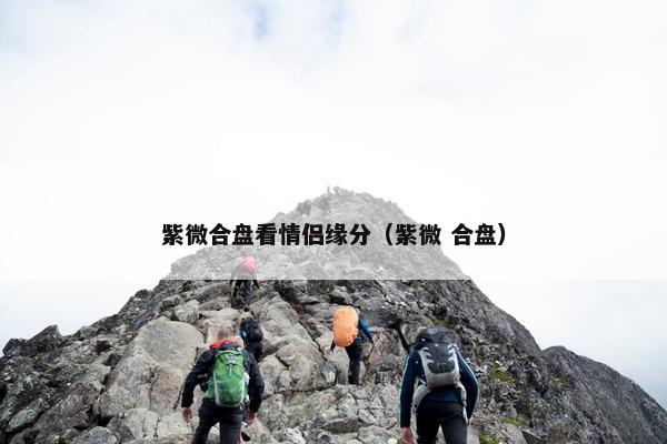 紫微合盘看情侣缘分（紫微 合盘）