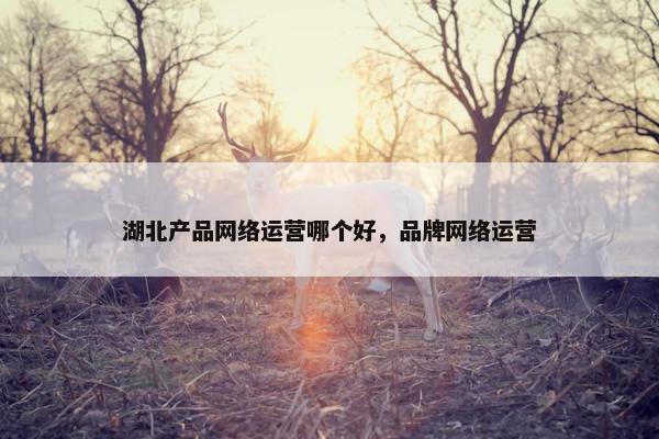 湖北产品网络运营哪个好，品牌网络运营