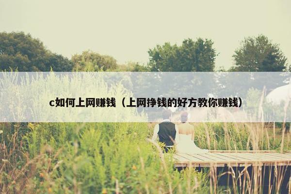 c如何上网赚钱（上网挣钱的好方教你赚钱）