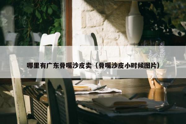 哪里有广东骨嘴沙皮卖（骨嘴沙皮小时候图片）