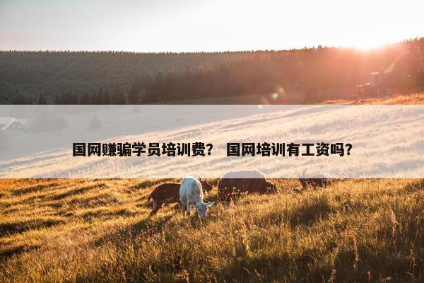 国网赚骗学员培训费？ 国网培训有工资吗？
