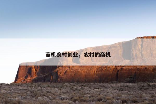 商机农村创业，农村的商机