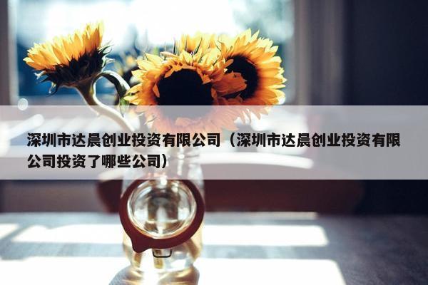 深圳市达晨创业投资有限公司（深圳市达晨创业投资有限公司投资了哪些公司）