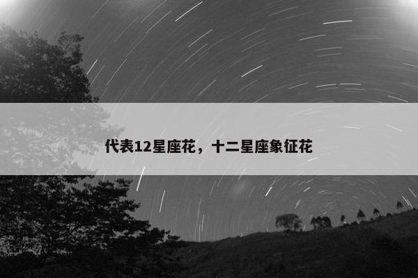 代表12星座花，十二星座象征花