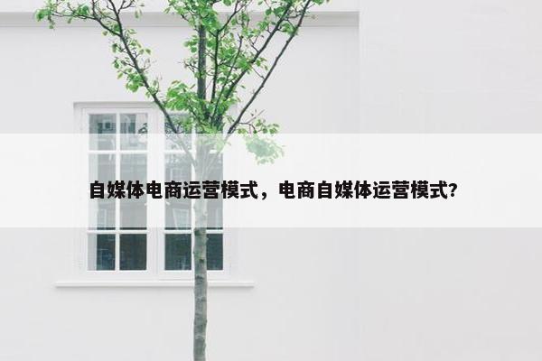 自媒体电商运营模式，电商自媒体运营模式?