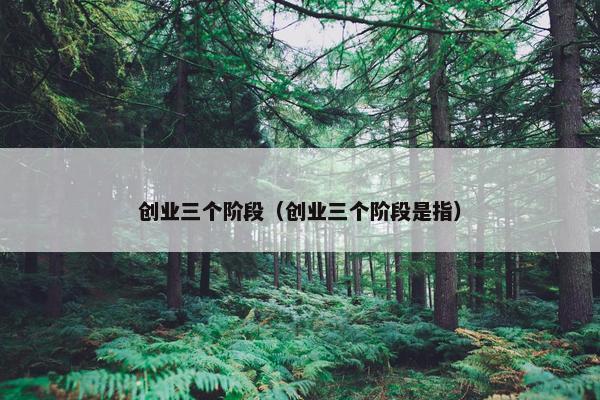 创业三个阶段（创业三个阶段是指）
