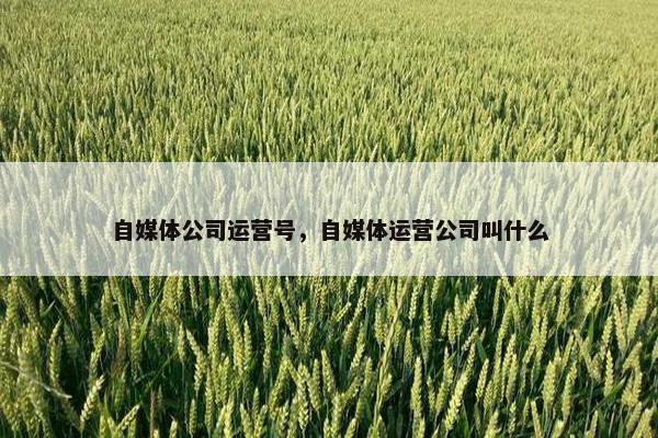 自媒体公司运营号，自媒体运营公司叫什么