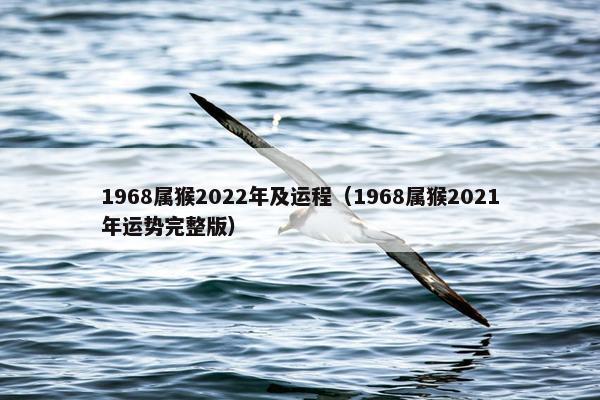 1968属猴2022年及运程（1968属猴2021年运势完整版）