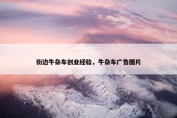 街边牛杂车创业经验，牛杂车广告图片