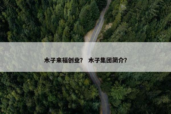 木子来福创业？ 木子集团简介？