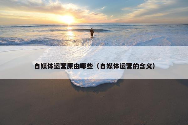 自媒体运营原由哪些（自媒体运营的含义）