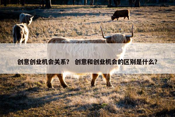创意创业机会关系？ 创意和创业机会的区别是什么？