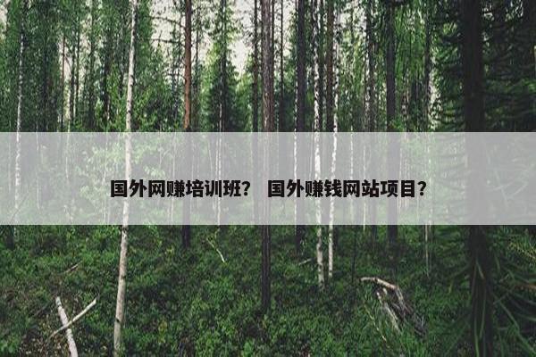 国外网赚培训班？ 国外赚钱网站项目？