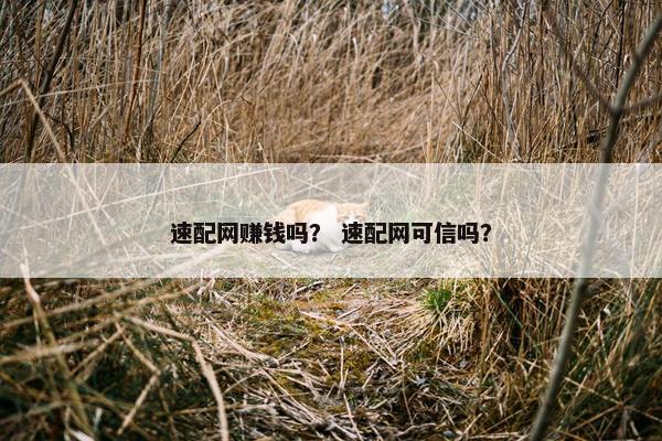 速配网赚钱吗？ 速配网可信吗？