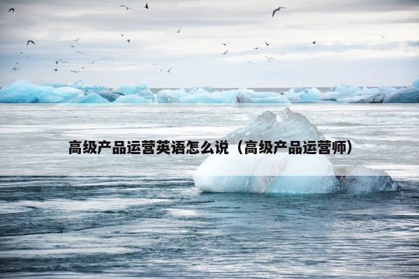 高级产品运营英语怎么说（高级产品运营师）