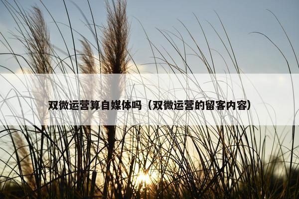 双微运营算自媒体吗（双微运营的留客内容）