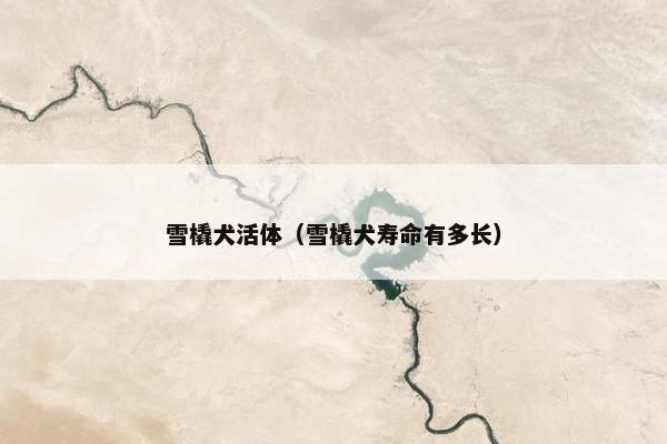 雪橇犬活体（雪橇犬寿命有多长）