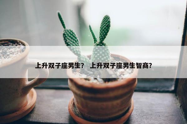上升双子座男生？ 上升双子座男生智商？