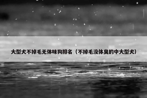 大型犬不掉毛无体味狗排名（不掉毛没体臭的中大型犬）