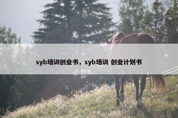syb培训创业书，syb培训 创业计划书