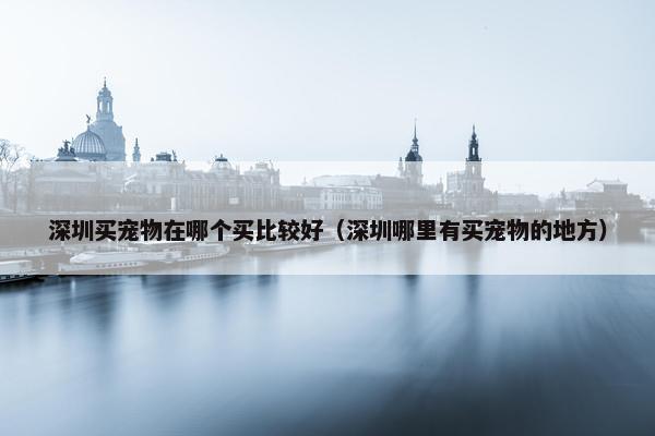 深圳买宠物在哪个买比较好（深圳哪里有买宠物的地方）