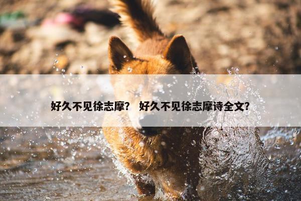 好久不见徐志摩？ 好久不见徐志摩诗全文？