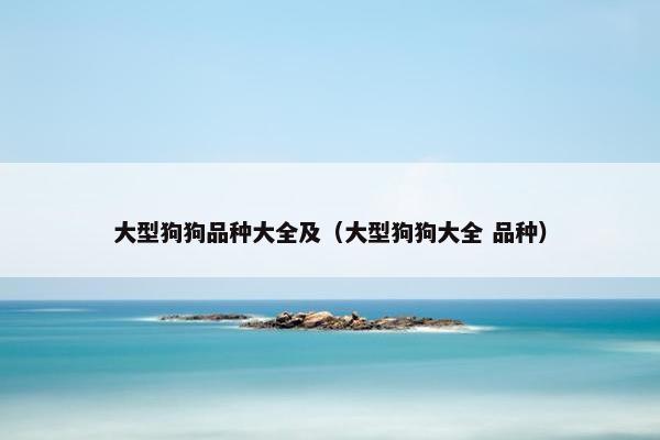 大型狗狗品种大全及（大型狗狗大全 品种）