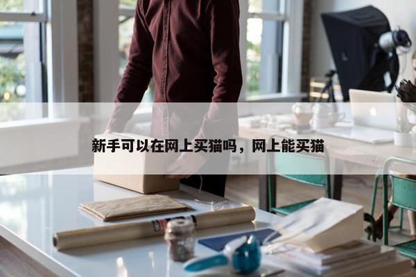 新手可以在网上买猫吗，网上能买猫
