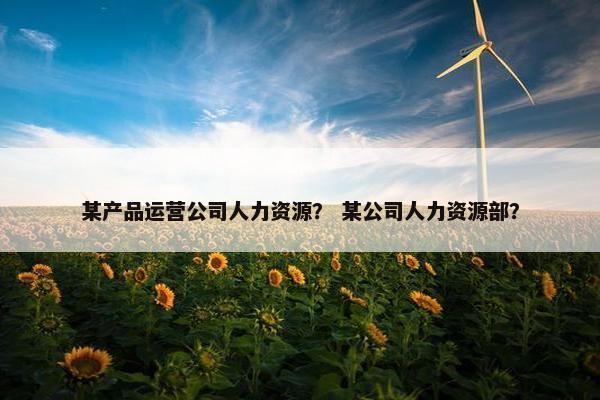 某产品运营公司人力资源？ 某公司人力资源部？