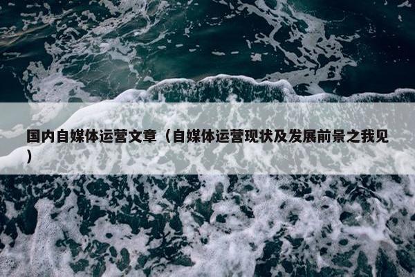 国内自媒体运营文章（自媒体运营现状及发展前景之我见）