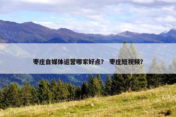 枣庄自媒体运营哪家好点？ 枣庄短视频？