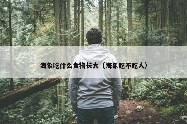 海象吃什么食物长大（海象吃不吃人）