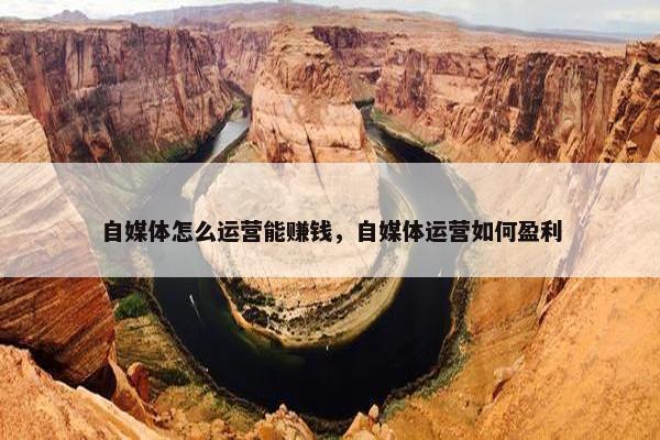 自媒体怎么运营能赚钱，自媒体运营如何盈利