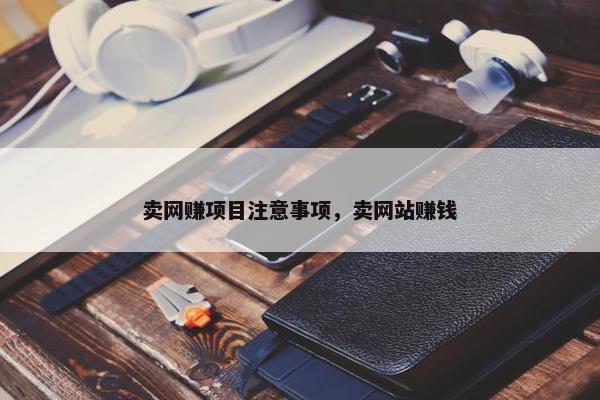卖网赚项目注意事项，卖网站赚钱