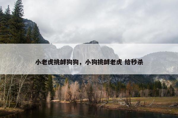 小老虎挑衅狗狗，小狗挑衅老虎 给秒杀