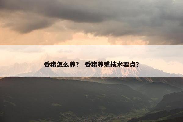 香猪怎么养？ 香猪养殖技术要点？
