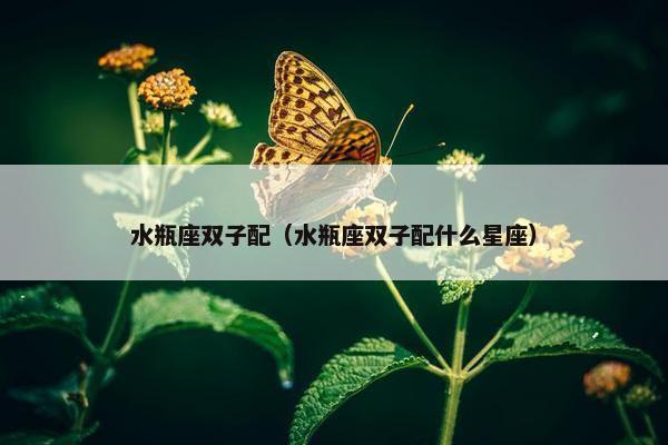 水瓶座双子配（水瓶座双子配什么星座）