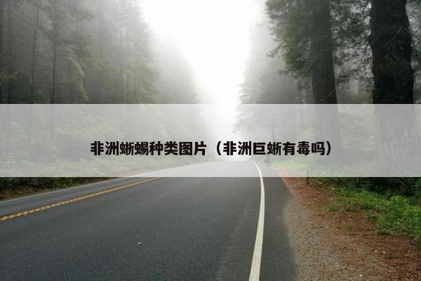 非洲蜥蜴种类图片（非洲巨蜥有毒吗）