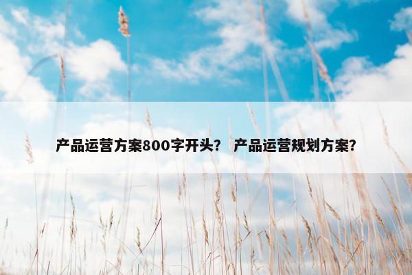 产品运营方案800字开头？ 产品运营规划方案？