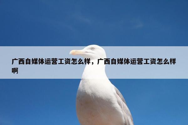 广西自媒体运营工资怎么样，广西自媒体运营工资怎么样啊