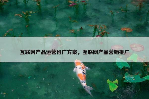 互联网产品运营推广方案，互联网产品营销推广